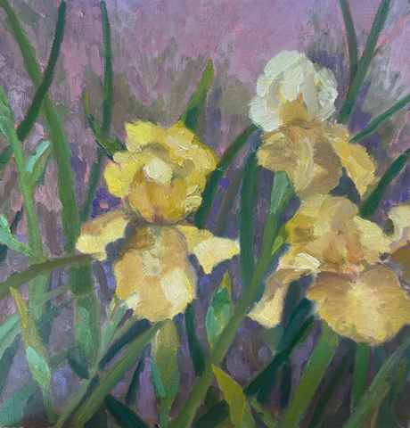 Oil on board 16x16