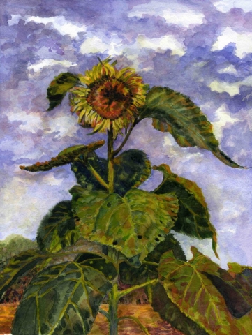 Detail of Sunflower - 15" x 19" - Arches Paper