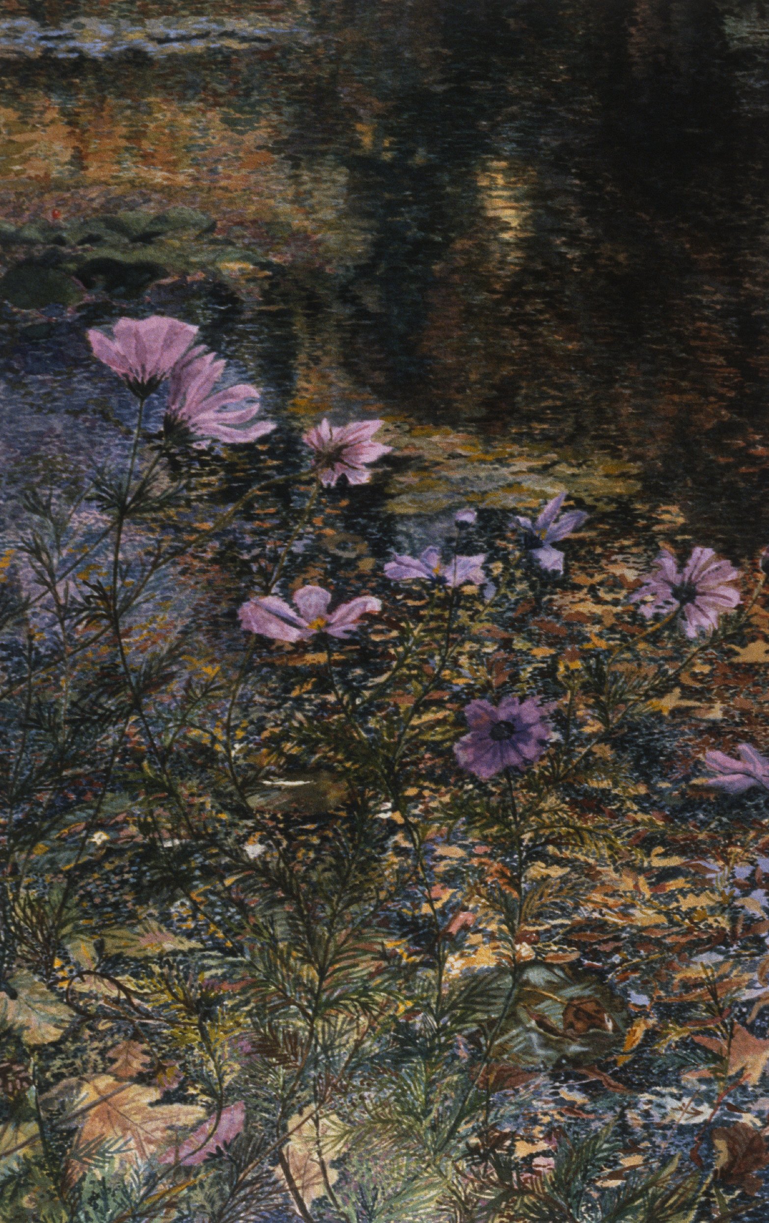 Cosmos in Monet's Garden - SOLD - Dunnegan Gallery of Art